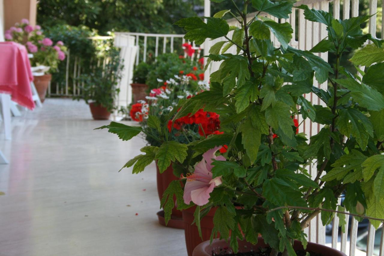 Hotel Risorgimento Chianciano Terme Bagian luar foto